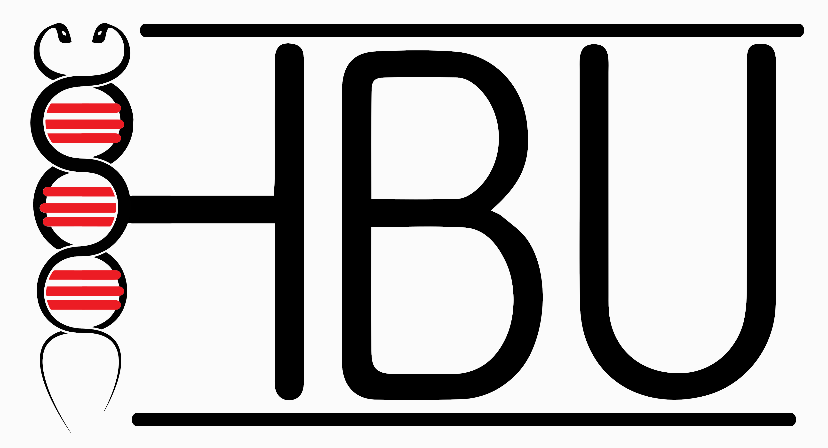 Stichting HBU